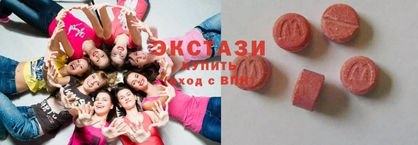 индика Елизово