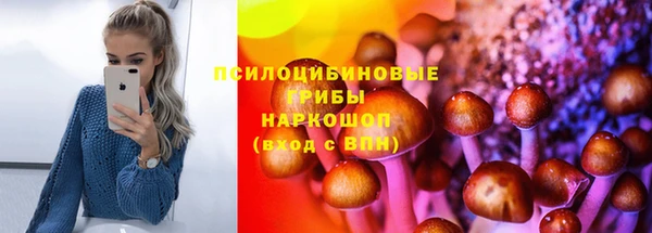 индика Елизово