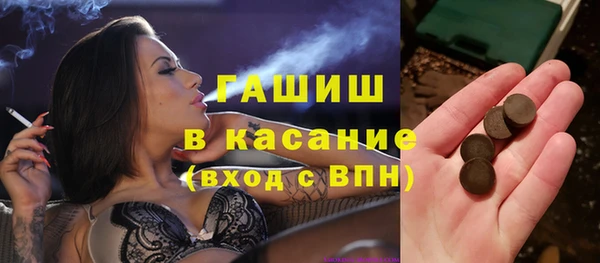 индика Елизово