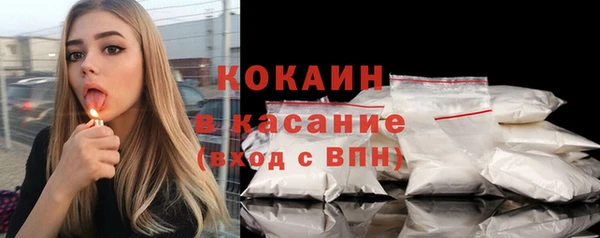 индика Елизово