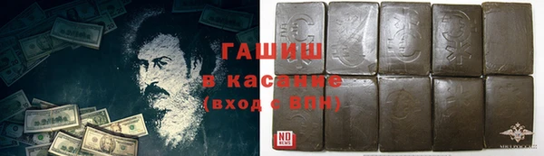 индика Елизово