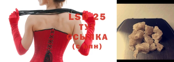 индика Елизово