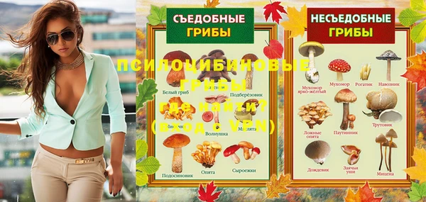 индика Елизово