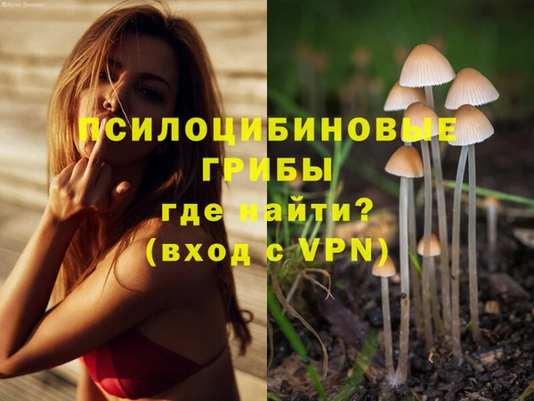 эйфоретик Елабуга