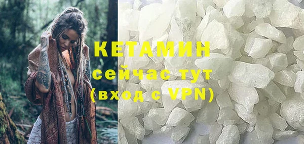 индика Елизово