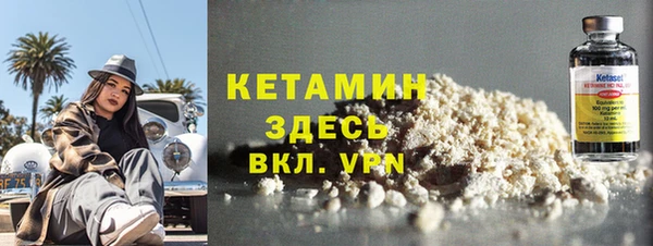 индика Елизово