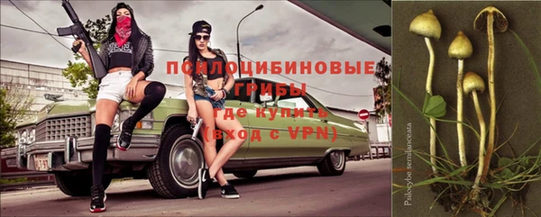 индика Елизово