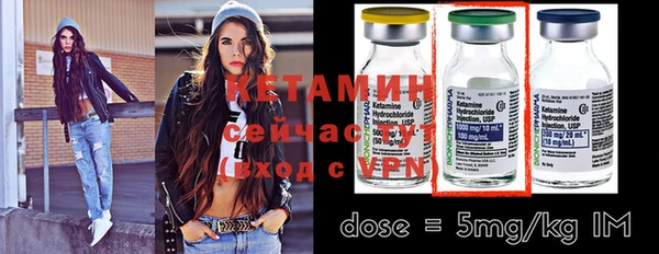 индика Елизово