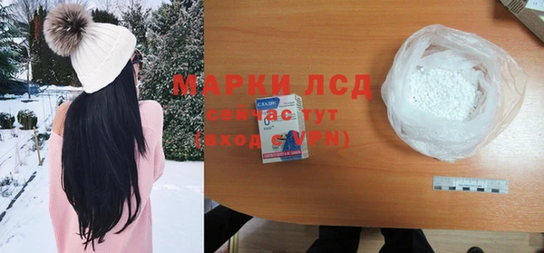 индика Елизово