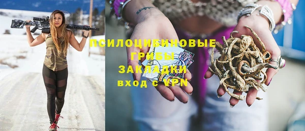 индика Елизово