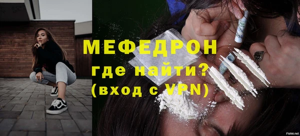 индика Елизово
