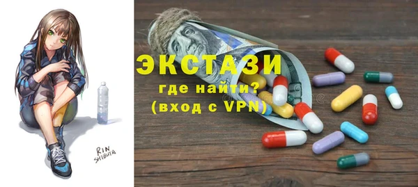индика Елизово